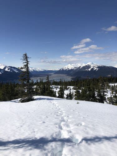 Best Hikes And Trails In Chilkat State Park AllTrails