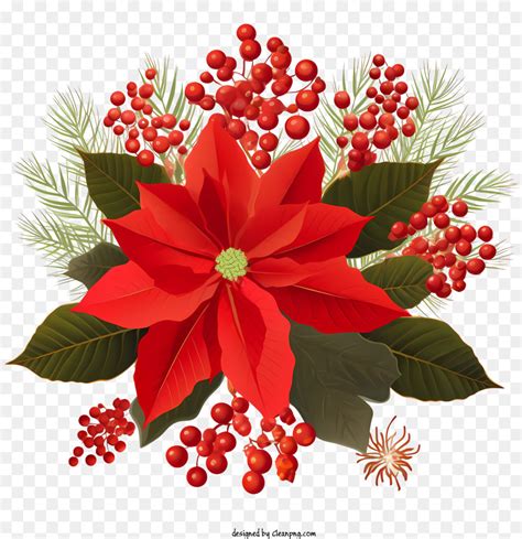 Bicos De Flor Red Poinsettia Flor Do Natal Png Transparente Gr Tis