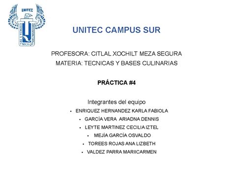 Practica Nutricion Unitec Campus Sur Profesora Citlal Xochilt