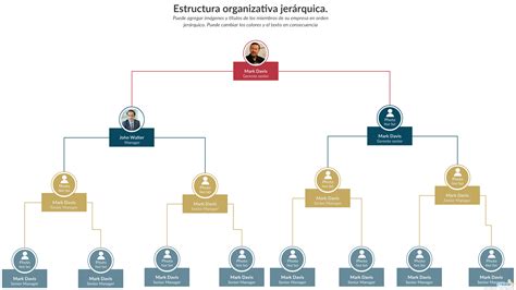 Estructura Organizacional Jerarquia Y Organigramas Images Hot Sex Picture