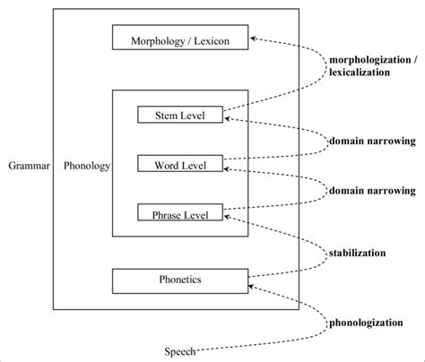 The Life Cycle Of Phonological Processes Bermúdez Otero And Trousdale Download Scientific