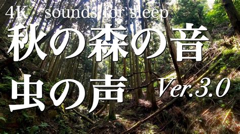 【自然音】秋の始まりを感じる森の沢に響く虫の音と鳥の鳴き声 1時間 Ver30 Youtube