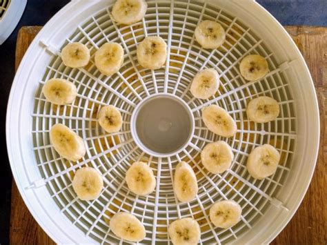 Dehydrating Banana In A Dehydrator Or Oven Preserve And Pickle