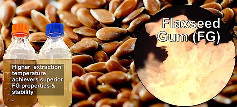 Flaxseed Gum Solution Functional Properties