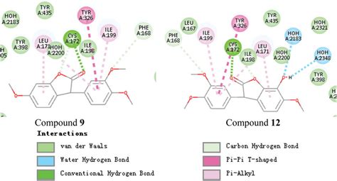 Schematic Presentations Of The Putative Mao B Binding Modes With