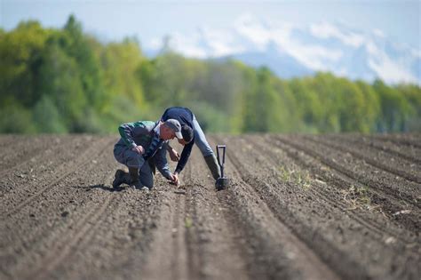 Lidea PREPARE THE SOIL TO OBTAIN GOOD ESTABLISHMENT WITH FAST EMERGENCE