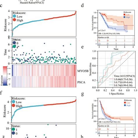 Construction And Validation Of The Prognostic Models By Tcga Paad