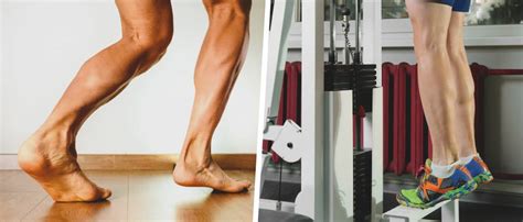 5 Tibialis Anterior Exercises Improve Lower Leg Strength