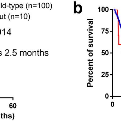 Association Between TP53 Mutation Status And Survival Outcomes A