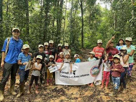 Postula A Mini Becas Equidad Aves Y Cultura Celebrate Urban Birds