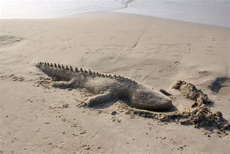 Sand Sculpture Of A Crocodile Stock Photo Image Of Summer Travel