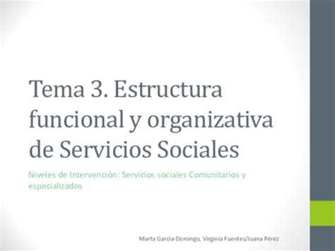 Tema 3 Estructura Organizativa Serv Soc Pdf