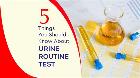 5 Things You Should Know About Urine Routine Test