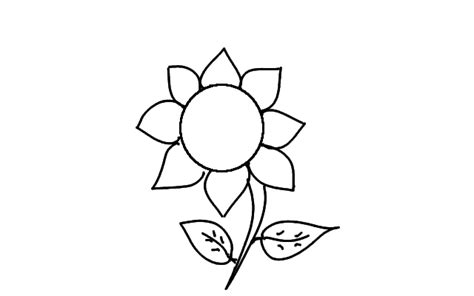 How to Draw a Sunflower? | Step by Step Drawing for Kids