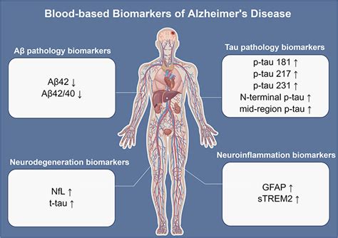 Early Diagnosis Of Alzheimers Disease Cia