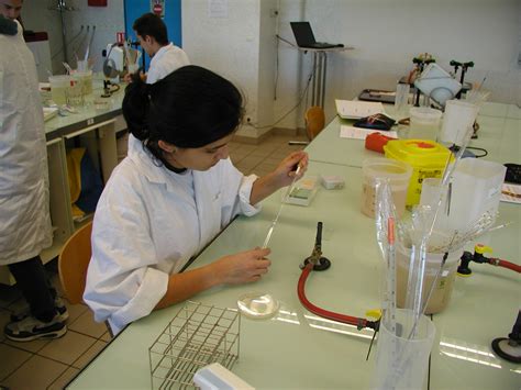 Loption Biotechnologie en 2de Lycée René Josué VALIN