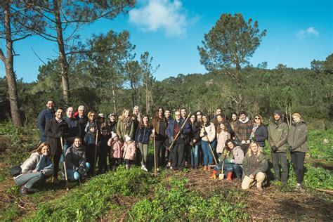 Nestl Vai Plantar Rvores No Parque Natural Sintra Cascais Como