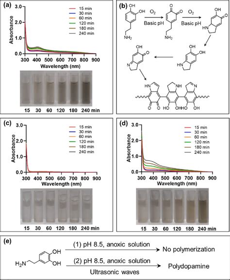 Dopamine Polymerization In Basic Conditions Uv Vis Absorption Spectra