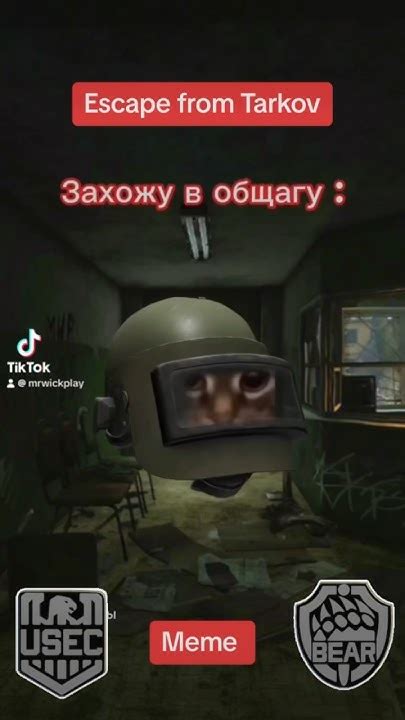 Escape From Tarkov Memes Arena Eft Escapefromtarkov Memes Tarkov