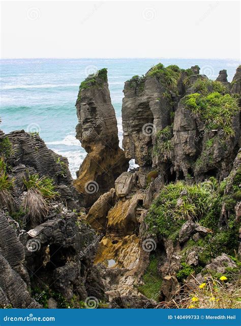 Limestone Rock Formations at Cape Foul Wind, New Zealand Stock Image