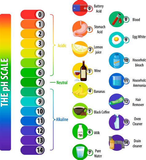 A pH scale on white background 3501046 Vector Art at Vecteezy