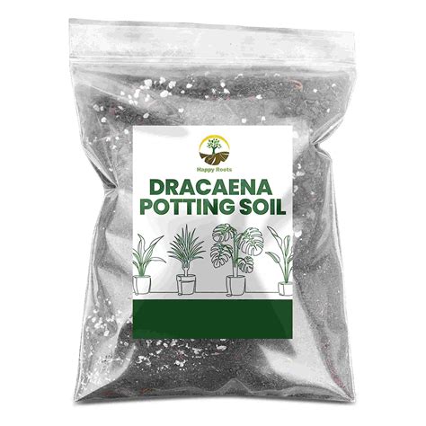 Mua Dracaena Potting Soil 2 Quart Resealable Bag Hand Blended