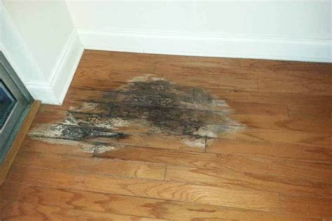 Bamboo Flooring Moisture Issues Clsa Flooring Guide