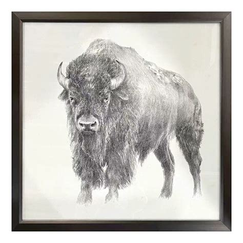 Ty Pennington Glass Framed Bison Print Wall Art 26