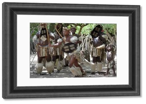 Antique Framed Print Of Zulu Tribal Dance Group Dumazula Cultural Village