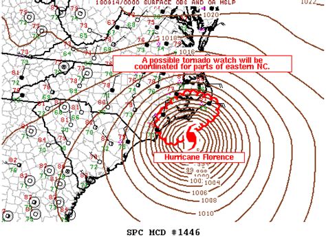 Storm Prediction Center Mesoscale Discussion 1446