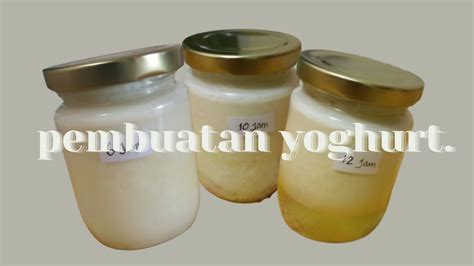 Praktikum Pemanfaatan Bakteri Asam Laktat Pembuatan Yoghurt Pas 10