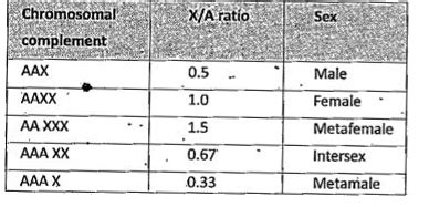 Telugu Describe The Genic Balance Theory Of Sex Determination