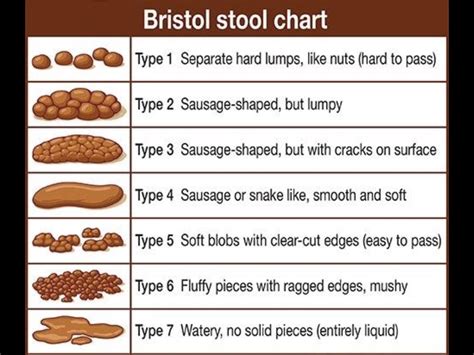 Escala De Heces De Bristol Pdf Ddwes