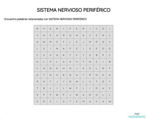 Sistema Nervioso PerifÉrico Ficha Interactiva Topworksheets