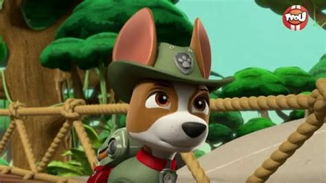 Replay TFou Du 02 05 2024 Paw Patrol La Pat Patrouille Il Faut