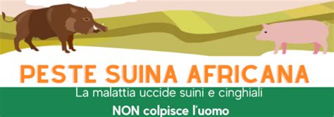 Comune Di Tezze Sul Brenta Misure Di Controllo E Prevenzione Della