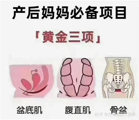 产后子宫的恢复各自要多长时间恢复？包括3个部位，分别是哪3个 知乎