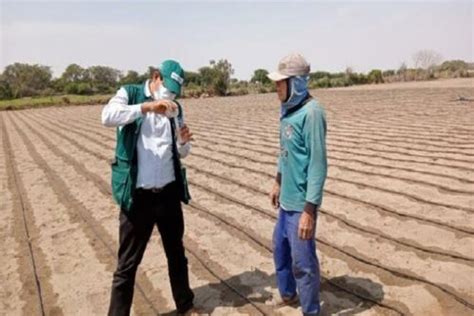 Midagri Capacita Y Brinda Asistencia T Cnica A Agricultores De