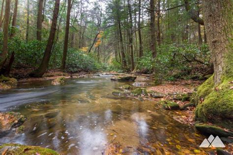 Springer Mountain Hiking Backpacking Guide