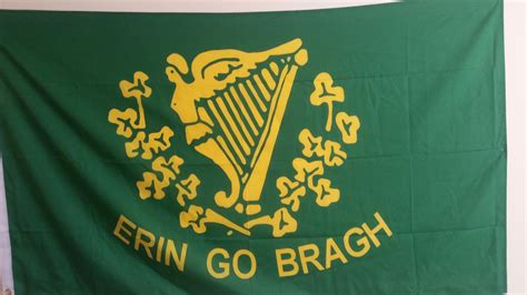 A Rendition Of The Green Flag An Alternate Flag For Ireland R