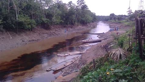 Loreto reportan derrame de petróleo en la quebrada Cuninico y que