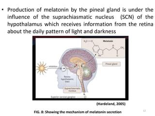 Embryology Of Pineal And Adrenal Gland By Zachariah Richard Ppt