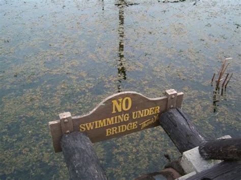 Abandoned Water Park Disney World