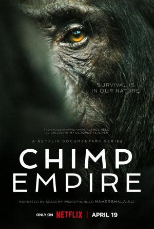 Chimp Empire TV Miniseries 2023 FilmAffinity