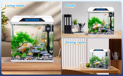 Nobleza Glas L Mini Aquarium Komplettset Fisch Nano Aquarium