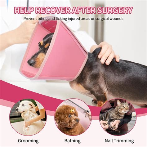 Adjustable Pink Dog Leak Protection Collar | Post-Op & Bite Prevention