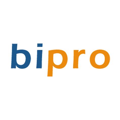 BiPro Timesheet YouTube