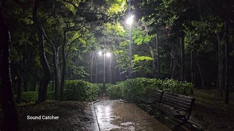 폭우가 내리는 밤의 공원 숙면과 스트레스 해소에 도움이 되는 빗소리 Heavy Rain Sounds For Deep