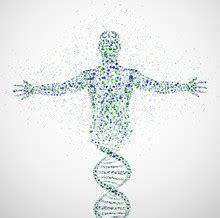 human dna  stock photo public domain pictures