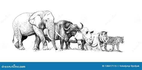 African Big Five Animals And Pattern Cartoon Vector | CartoonDealer.com ...